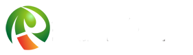 山東金辰集團(tuán)